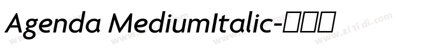 Agenda MediumItalic字体转换